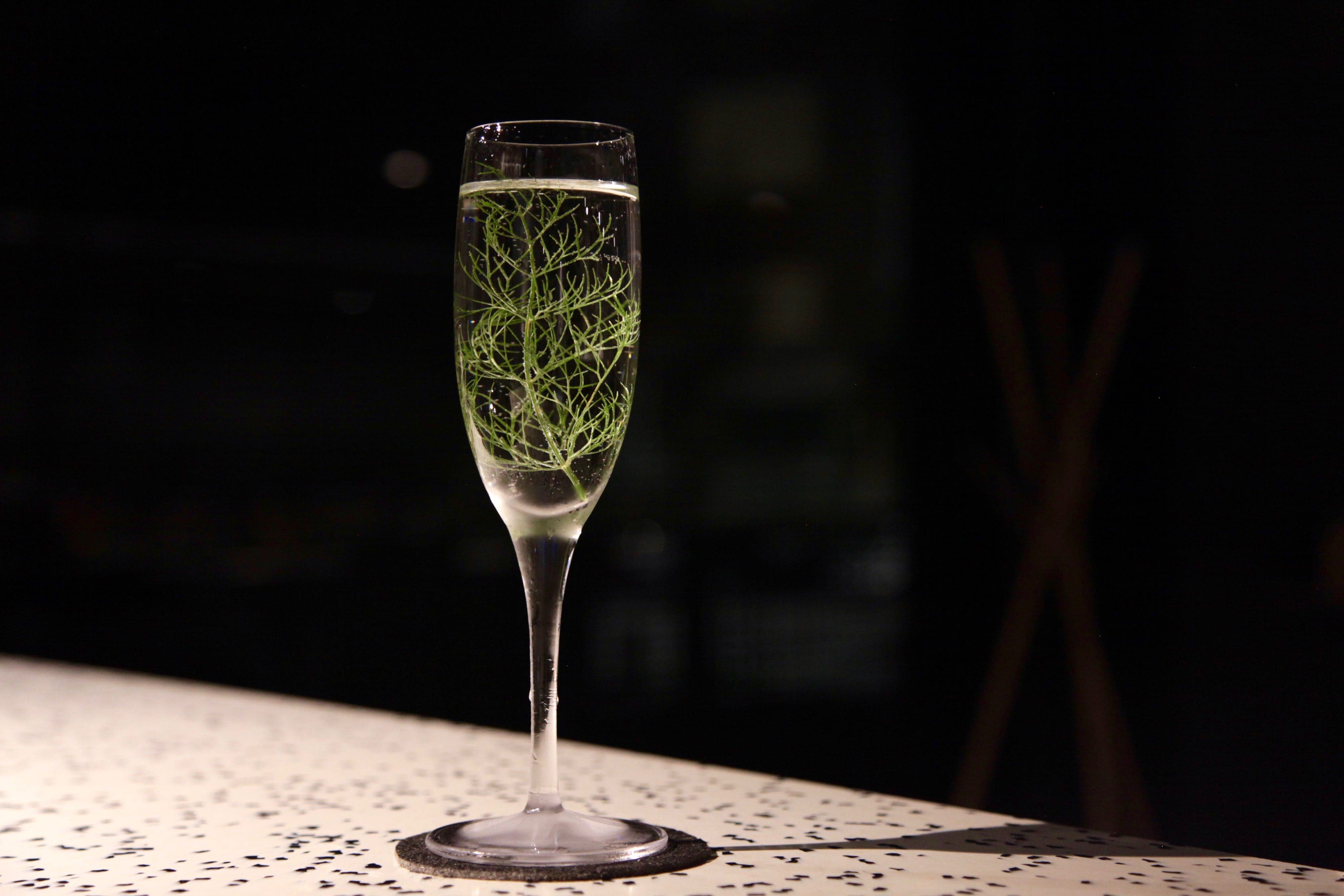 Cocktail con finocchietto